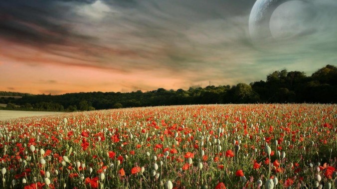 NAS噪音太大，大家都吧NAS放置到哪了？